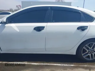 2019 Kia Forte S with VIN 3KPF34AD2KE028516, listed as a IAAI auction lot 41749001 with 233,472 mi miles. Bid and sale history available at carsss.com. Image 14.