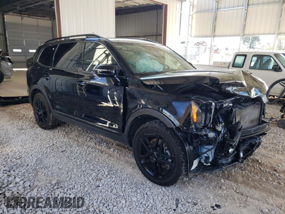 2024 Kia Telluride SX X-Line with VIN 5XYP5DGC9RG474012, listed as a Copart auction lot 79106614 with 22,751 mi miles and Salvage Title. Bid and sale history available at carsss.com. Image 4.