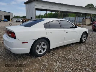 2014 Dodge Charger SE with VIN 2C3CDXBGXEH312192, listed as a Copart auction lot 54037785 with 168,626 mi miles and Salvage Title. Bid and sale history available at DreamBid. Image 3.
