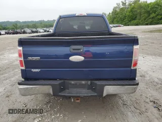 2011 Ford F-150 XL with VIN 1FTFX1ET2BFC30346, listed as a Copart auction lot 59801175 with 215,924 mi miles and Salvage title. Bid and sale history available at DreamBid. Image 6.