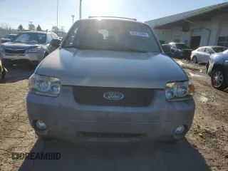 2007 Ford Escape XLT with VIN 1FMYU03Z77KB17649, listed as a Copart auction lot 81213684 with 113,011 mi miles and Salvage Title. Bid and sale history available at carsss.com. Image 5.