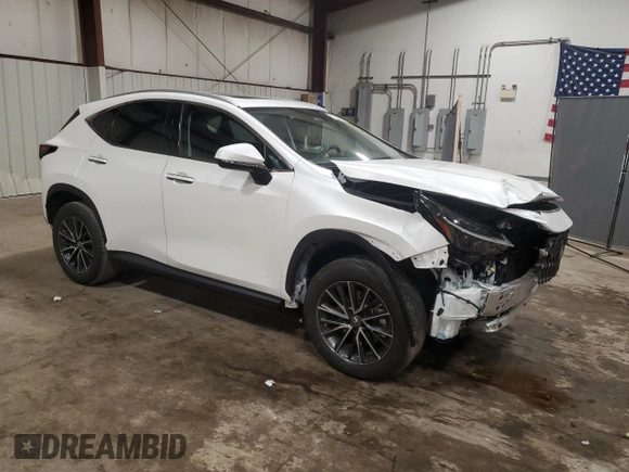 2024 Lexus NX with VIN 2T2AGCEZXRC034292, listed as a Copart auction lot 81203804 with 15,567 mi miles and Salvage Title. Bid and sale history available at carsss.com. Image 4.