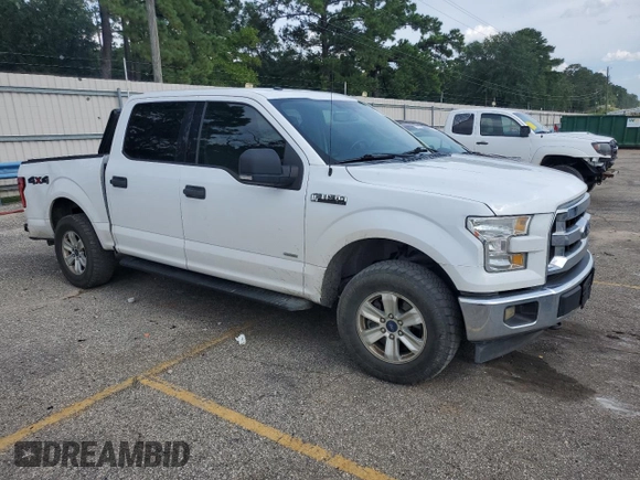 2017 Ford F-150 XL with VIN 1FTEW1EP0HKD01173, listed as a Copart auction lot 65909855 with 218,248 mi miles and Clean title. Bid and sale history available at DreamBid. Image 4.