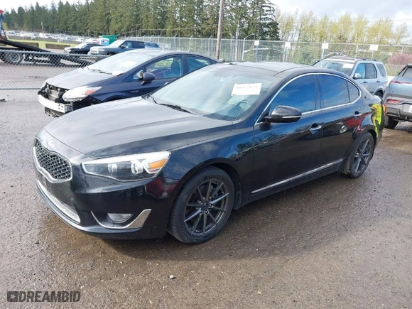 2014 Kia Cadenza Premium with VIN KNALN4D71E5132396, listed as a IAAI auction lot 41977031 with 114,714 mi miles. Bid and sale history available at carsss.com. Image 2.