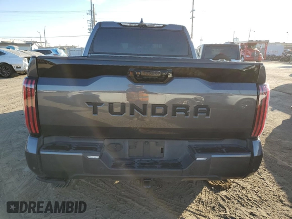 2023 Toyota Tundra 2WD Platinum with VIN 5TFNA5AB0PX020248, listed as a Copart auction lot 85091234 with 42,306 mi miles and Salvage Title. Bid and sale history available at carsss.com. Image 6.