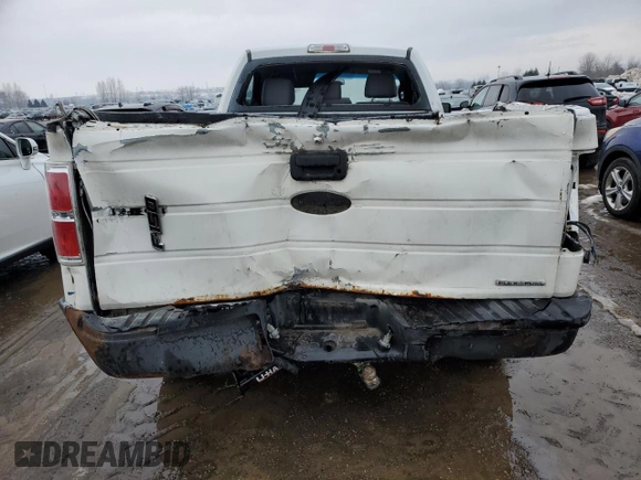 2011 Ford F-150 XL with VIN 1FTMF1CM1BKD05194, listed as a Copart auction lot 46978265 with Not Provided miles and Salvage Title. Bid and sale history available at DreamBid. Image 6.