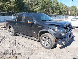 2013 Ford F-150 XL z VIN 1FTFW1ET8DFA42436, wystawiony jako IAAI lot #40626783 z przebiegiem 138 392 mil mil oraz . Historia ofert i sprzedaży dostępna na DreamBid. Obrazek 1.