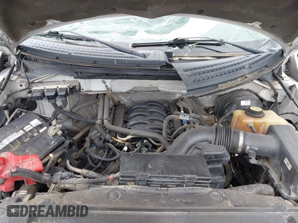 2013 Ford F-150 XL with VIN 1FTFX1CF7DKD41157, listed as a IAAI auction lot 42524583 with 254,367 mi miles and . Bid and sale history available at DreamBid. Image 9.