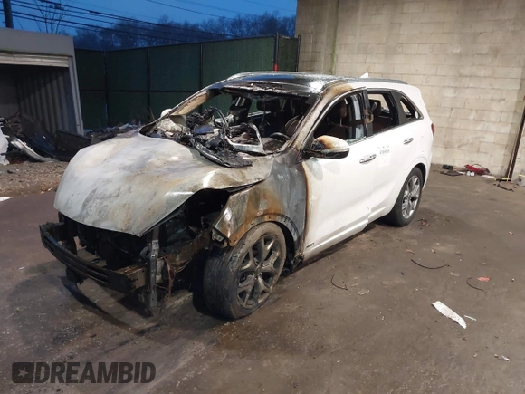 2019 Kia Sorento SX V6 with VIN 5XYPKDA59KG446249, listed as a IAAI auction lot 41069665 with 111,359 mi miles. Bid and sale history available at carsss.com. Image 2.