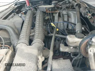 1993 Ford F-150 с VIN 1FTDF15N0PNB09498, выставлен на аукционе IAAI как лот 42702369 с пробегом 145 939 миль миль и . История ставок и продаж доступна на DreamBid. Изображение 12.