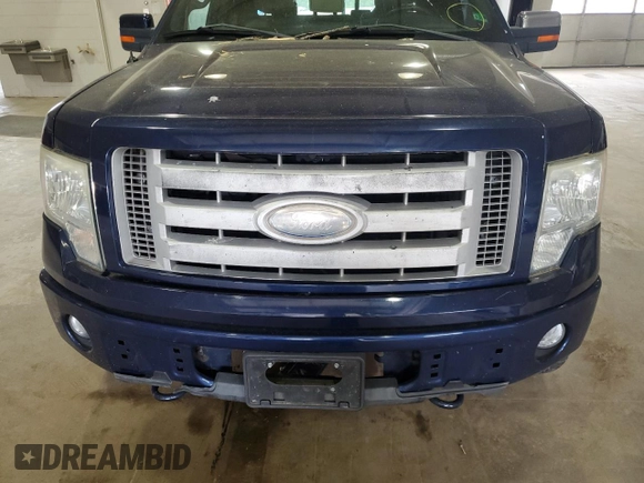 2009 Ford F-150 XL with VIN 1FTPW14V89KC53710, listed as a Copart auction lot 53499825 with 187,271 mi miles and Salvage Title. Bid and sale history available at carsss.com. Image 11.