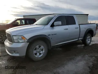2010 Dodge 1500 Laramie with VIN 1D7RV1GT0AS174032, listed as a Copart auction lot 88287785 with 315,160 mi miles and Salvage Title. Bid and sale history available at DreamBid. Image 1.