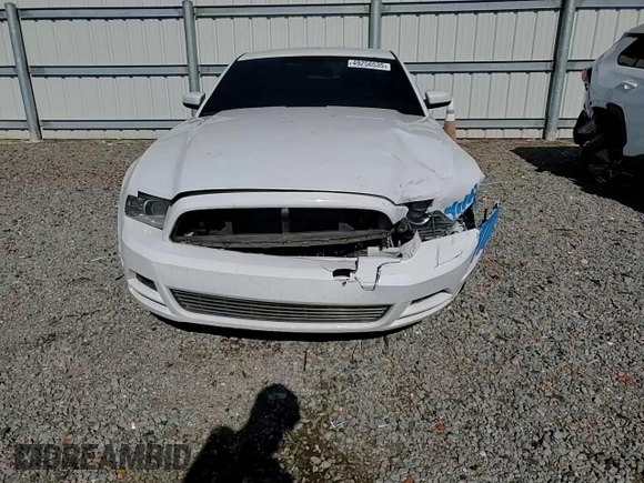 2014 Ford Mustang V6 with VIN 1ZVBP8AM1E5319001, listed as a Copart auction lot 49256535 with 170,655 mi miles and Salvage Title. Bid and sale history available at carsss.com. Image 11.