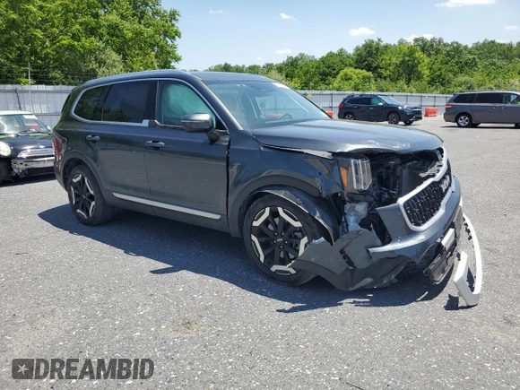 2024 Kia Telluride EX with VIN 5XYP3DGC0RG483526, listed as a Copart auction lot 62360355 with 13,498 mi miles and Salvage title. Bid and sale history available at DreamBid. Image 4.