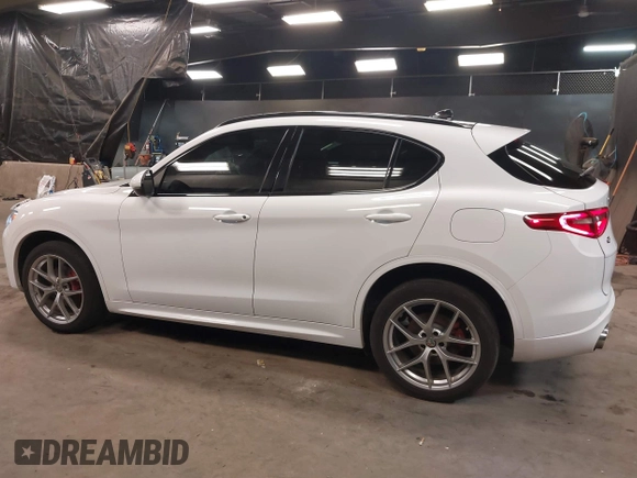 2020 Alfa Romeo Stelvio Ti z VIN ZASPAKBN9L7C92041, wystawiony jako IAAI lot #41329129 z przebiegiem 47 977 mil mil oraz . Historia ofert i sprzedaży dostępna na DreamBid. Obrazek 14.