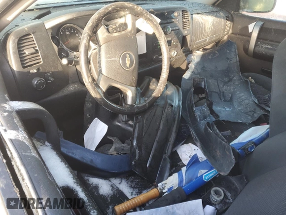 2007 Chevrolet Silverado 1500 LT w/1LT with VIN 2GCEC19C371731018, listed as a Copart auction lot 44953335 with 0 mi miles and Salvage Title. Bid and sale history available at carsss.com. Image 8.