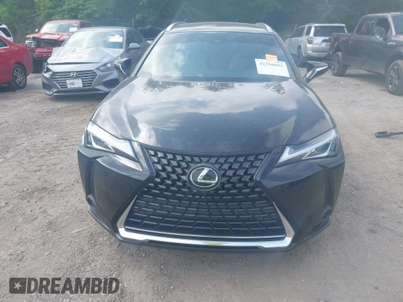 2022 Lexus UX 200 с VIN JTHP3JBHXN2052048, выставлен на аукционе IAAI как лот 42290095 с пробегом 13 938 миль миль и . История ставок и продаж доступна на DreamBid. Изображение 12.