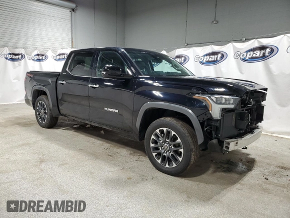 2022 Toyota Tundra Limited with VIN 5TFJA5DB1NX007550, listed as a Copart auction lot 48113095 with 29,444 mi miles and Clean title. Bid and sale history available at DreamBid. Image 4.