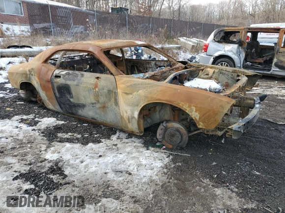 2016 Dodge Challenger R/T Plus with VIN 2C3CDZBT5GH101798, listed as a Copart auction lot 53256135 with Not provided miles and Non repairable. Bid and sale history available at DreamBid. Image 4.