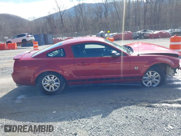 2009 Ford Mustang with VIN 1ZVHT80N695136392, listed as a IAAI auction lot 41509619 with 141,563 mi miles and . Bid and sale history available at carsss.com. Image 13.