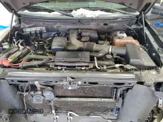 2010 Ford F-150 XL with VIN 1FTFX1CV0AFB16526, listed as a Copart auction lot 45946515 with 224,927 mi miles and Salvage Title. Bid and sale history available at carsss.com. Image 11.