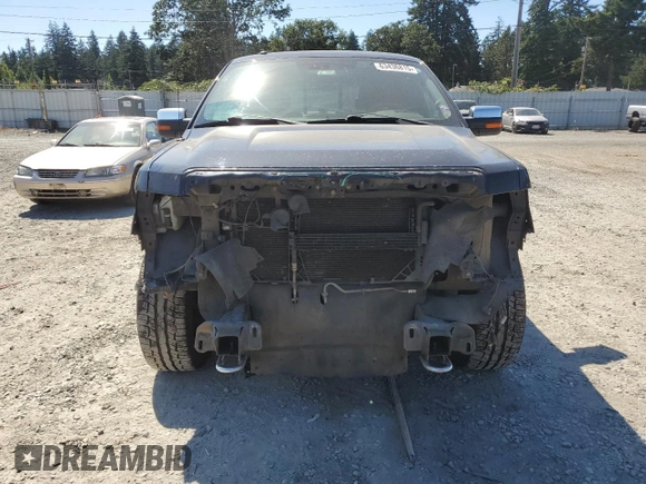 2009 Ford F-150 XL with VIN 1FTPW14V59FA44112, listed as a Copart auction lot 63436815 with 255,464 mi miles and Salvage title. Bid and sale history available at DreamBid. Image 5.
