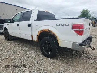 2010 Ford F-150 XL with VIN 1FTEW1E80AFA10938, listed as a Copart auction lot 62770355 with 243,947 mi miles and Clean title. Bid and sale history available at DreamBid. Image 2.