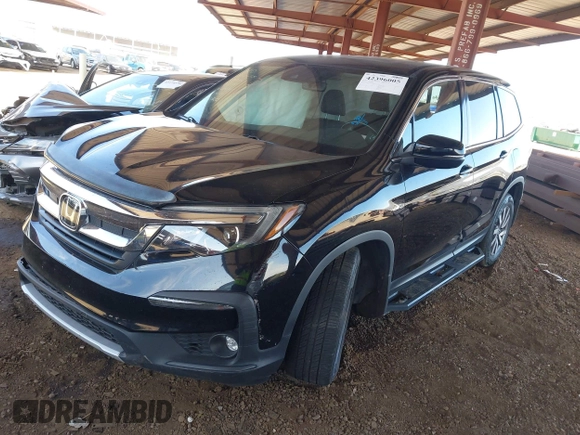 2019 Honda Pilot EX-L с VIN 5FNYF6H54KB084820, выставлен на аукционе IAAI как лот 42396005 с пробегом Не указан миль и . История ставок и продаж доступна на DreamBid. Изображение 16.