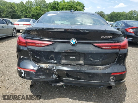 2022 BMW 2 Series 228i with VIN WBA53AK00N7K22579, listed as a Copart auction lot 60313095 with 82,908 mi miles and Salvage title. Bid and sale history available at DreamBid. Image 6.