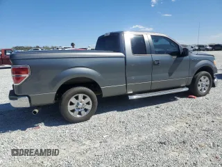 2010 Ford F-150 XL with VIN 1FTEX1C85AFD61411, listed as a Copart auction lot 50500925 with 164,735 mi miles and Salvage Title. Bid and sale history available at carsss.com. Image 3.