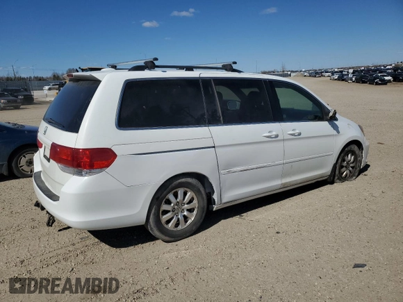 2009 Honda Odyssey EX-L with VIN 5FNRL38679B504312, listed as a Copart auction lot 53878465 with 239,462 mi miles and Salvage Title. Bid and sale history available at carsss.com. Image 3.