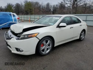 2011 Acura TSX with VIN JH4CU2F6XBC011032, listed as a Copart auction lot 51269155 with 124,456 mi miles and Salvage Title. Bid and sale history available at carsss.com. Image 1.