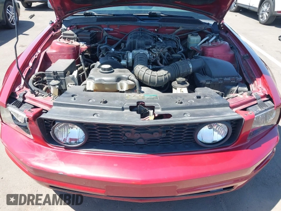 2005 Ford Mustang Deluxe with VIN 1ZVFT84N455197638, listed as a IAAI auction lot 42685049 with 177,405 mi miles and . Bid and sale history available at DreamBid. Image 10.