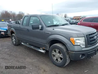 2010 Ford F-150 XL with VIN 1FTEX1E82AFA32002, listed as a IAAI auction lot 41874430 with 264,658 mi miles. Bid and sale history available at carsss.com. Image 6.