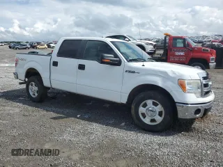 2013 Ford F-150 XL with VIN 1FTFW1EF7DKE89244, listed as a Copart auction lot 61155845 with 158,207 mi miles and Salvage title. Bid and sale history available at DreamBid. Image 4.
