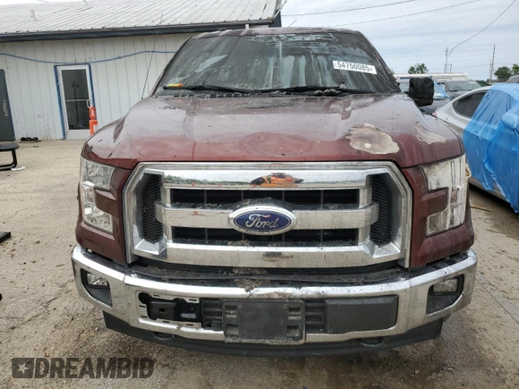 2017 Ford F-150 XL with VIN 1FTEW1EF1HFC21347, listed as a Copart auction lot 54750085 with 174,858 mi miles and Salvage title. Bid and sale history available at DreamBid. Image 5.