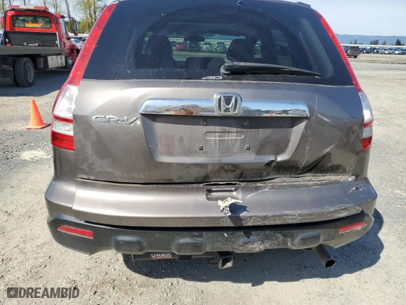 2009 Honda CR-V EX-L with VIN 5J6RE48789L031388, listed as a Copart auction lot 53002655 with 259,803 mi miles and Salvage Title. Bid and sale history available at carsss.com. Image 6.