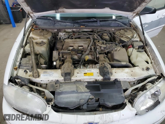 1996 Chevrolet Lumina LS with VIN 2G1WL52MXT1153999, listed as a Copart auction lot 81385634 with 176,573 mi miles and Salvage Title. Bid and sale history available at DreamBid. Image 11.