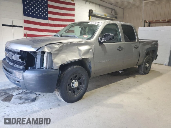2012 Chevrolet Silverado 1500 with VIN 3GCPKPE74CG253488, listed as a Copart auction lot 48317245 with 214,604 mi miles and Salvage Title. Bid and sale history available at DreamBid. Image 1.