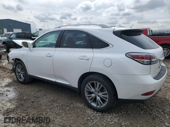 2013 Lexus RX 350 with VIN 2T2BK1BA2DC213537, listed as a Copart auction lot 51368955 with 0 mi miles and Salvage Title. Bid and sale history available at carsss.com. Image 2.