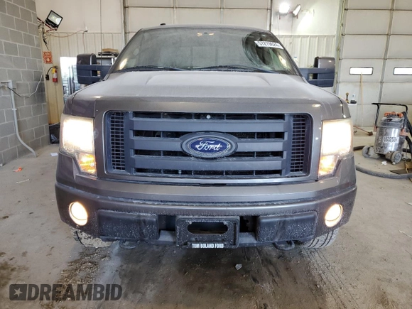2009 Ford F-150 XL with VIN 1FTPX14V39KB41099, listed as a Copart auction lot 57279624 with 114,594 mi miles and Clean Title. Bid and sale history available at carsss.com. Image 5.