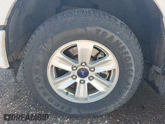 2017 Ford F-150 XL with VIN 1FTEX1EP3HKC76119, listed as a IAAI auction lot 42844369 with 193,396 mi miles and . Bid and sale history available at DreamBid. Image 22.