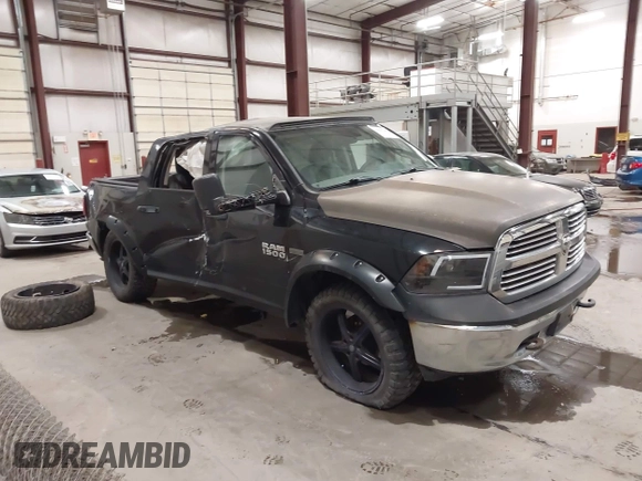 2014 Ram 1500 Tradesman with VIN 1C6RR7KM2ES475397, listed as a IAAI auction lot 42505299 with 248,802 mi miles and . Bid and sale history available at DreamBid. Image 1.
