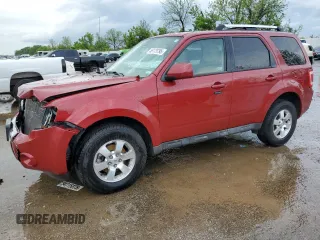 2010 Ford Escape Limited with VIN 1FMCU0E71AKB54080, listed as a Copart auction lot 55175795 with 246,064 mi miles and Salvage title. Bid and sale history available at DreamBid. Image 1.
