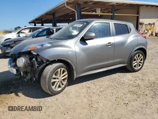 2013 Nissan Juke SV with VIN JN8AF5MR1DT206574, listed as a Copart auction lot 47843895 with 123,181 mi miles and Salvage Title. Bid and sale history available at carsss.com. Image 1.