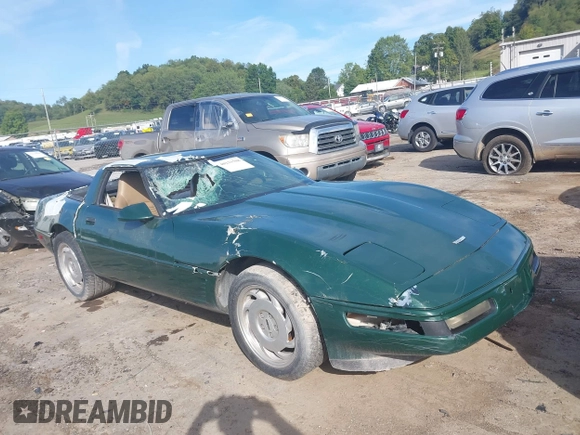 1995 Chevrolet Corvette z VIN 1G1YY22P6S5111944, wystawiony jako IAAI lot #40221508 z przebiegiem 119 243 mil mil oraz . Historia ofert i sprzedaży dostępna na DreamBid. Obrazek 1.