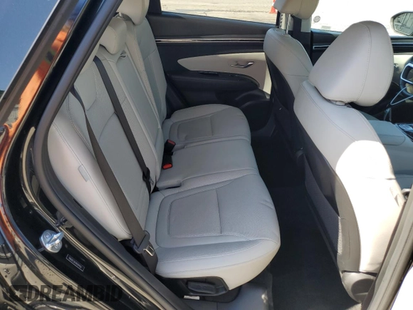 2024 Hyundai Tucson Limited with VIN 5NMJECDEXRH299555, listed as a Copart auction lot 50305005 with 48,861 mi miles and Salvage Title. Bid and sale history available at carsss.com. Image 11.