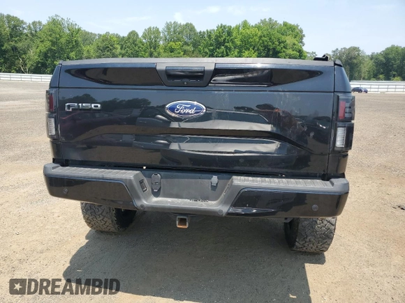 2015 Ford F-150 XLT with VIN 1FTEW1EP4FFC32381, listed as a Copart auction lot 60824115 with Not provided miles and Salvage title. Bid and sale history available at DreamBid. Image 6.