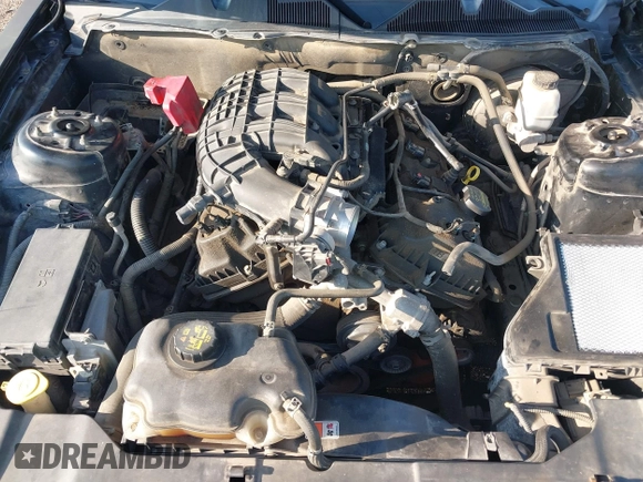 2013 Ford Mustang V6 with VIN 1ZVBP8AM3D5244879, listed as a IAAI auction lot 42210809 with Not provided miles and . Bid and sale history available at DreamBid. Image 10.