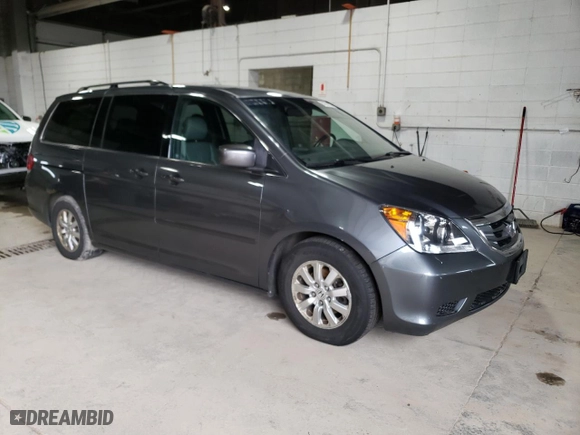 2010 Honda Odyssey EX-L with VIN 5FNRL3H71AB023646, listed as a Copart auction lot 51981865 with 171,965 mi miles and Clean Title. Bid and sale history available at carsss.com. Image 4.